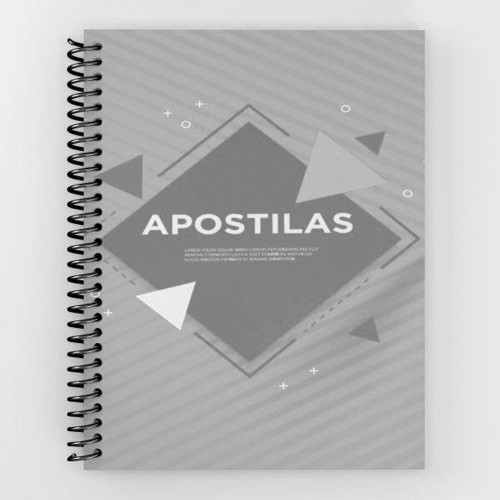APOSTILA PRETO E BRANCO A4